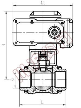 Q911內螺紋電動球閥 結構圖